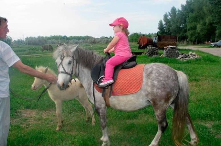 Детский клуб, конюшня и манеж, контактный зоопарк: семейная инфраструктура загородного поселка